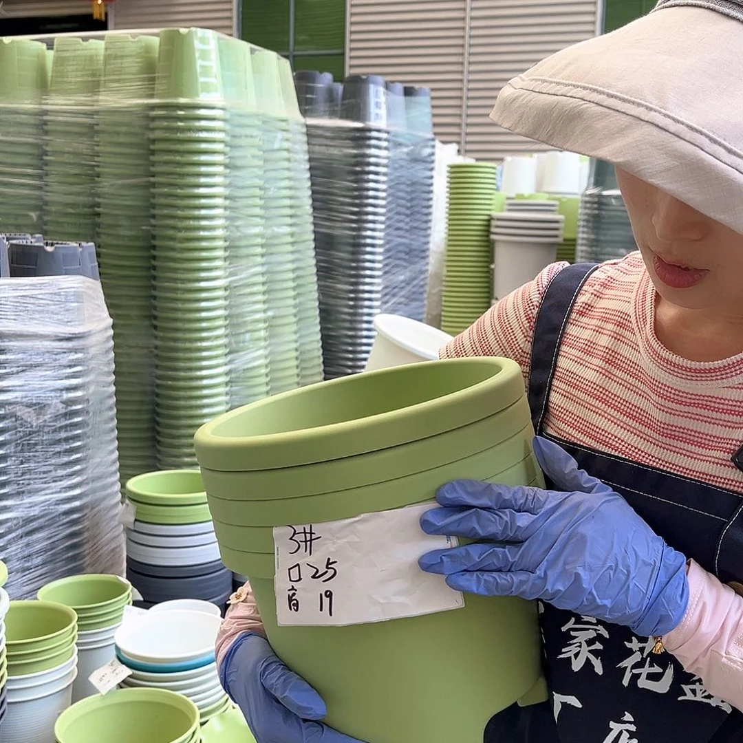 球根盆2#果绿色5个无托