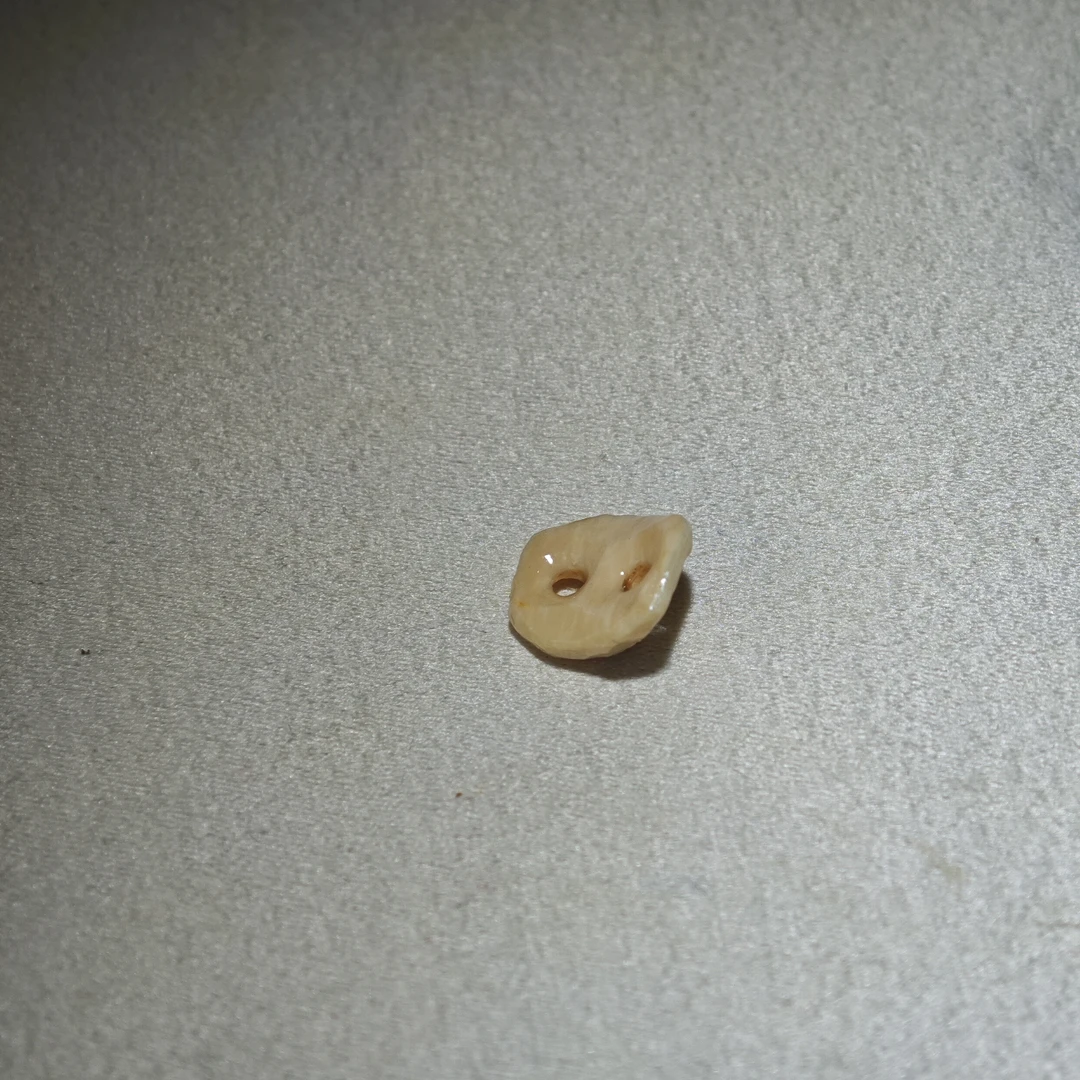 73号猛犸侧挂文玩配饰