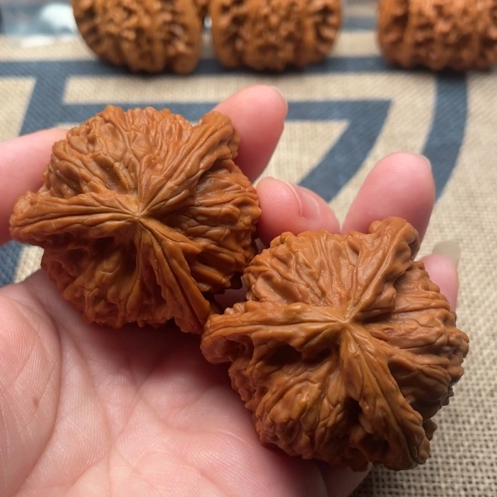 漠***鲨核桃白狮子44核桃