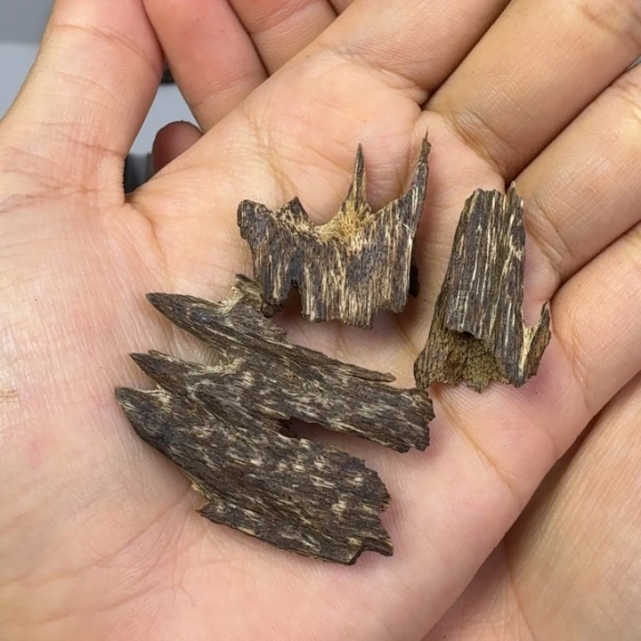 伟业香堂缅甸树心虫漏3克九分沉