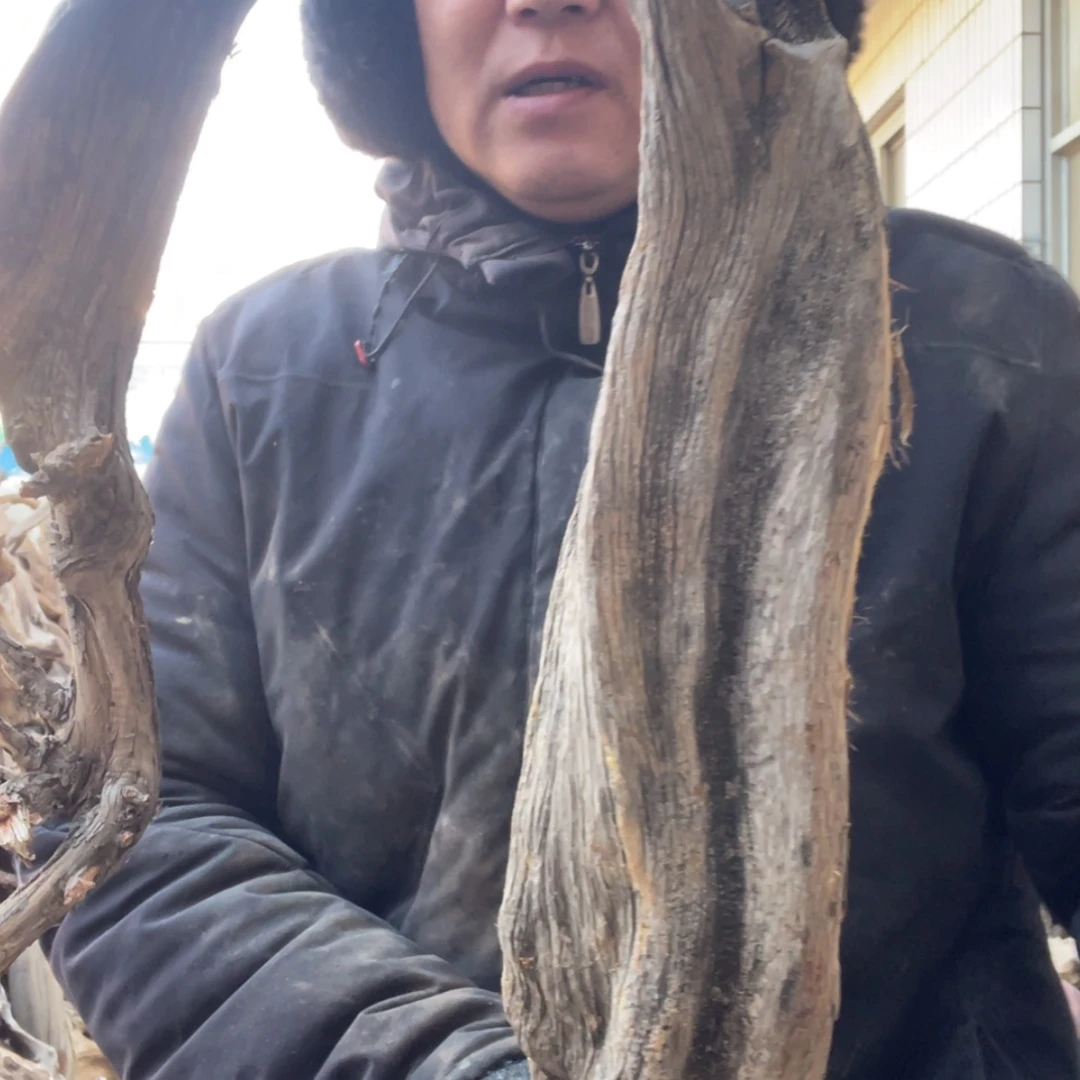 【闪购商品】柏木隐*阁啊啊啊啊啊啊啊啊