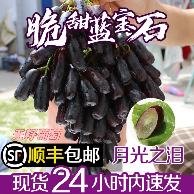 【顺丰】金手指美人指当季孕妇水果新鲜无籽果园直发青提蓝宝石葡萄