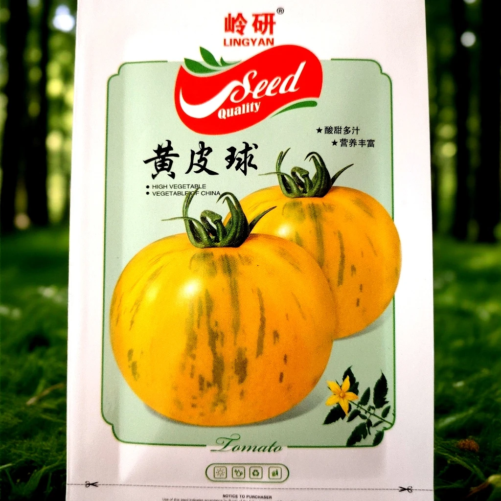 黄皮球柿子籽300粒左右