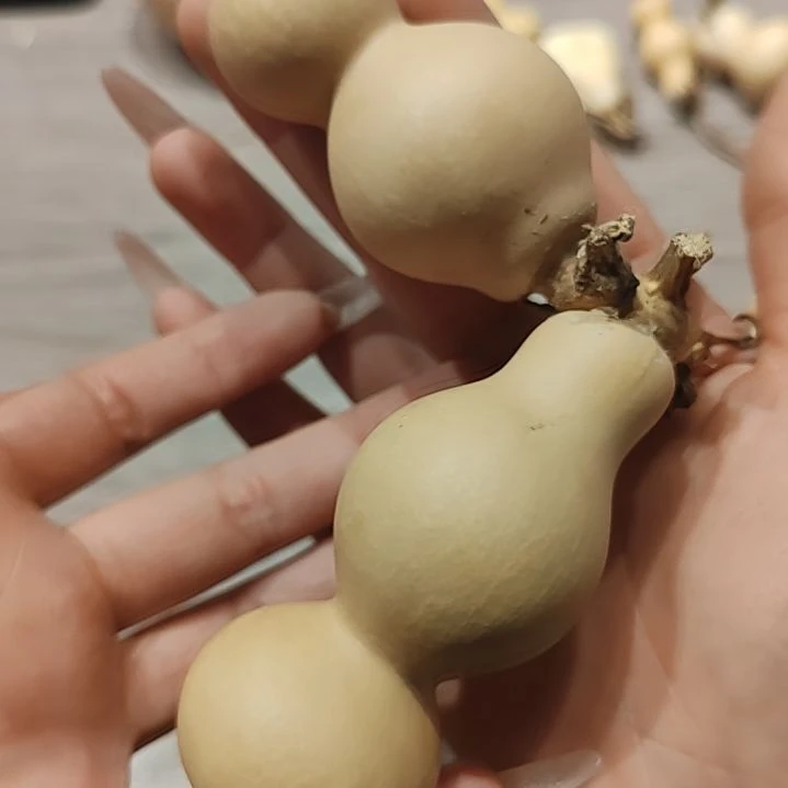今*缘葫芦葫芦葫芦葫芦