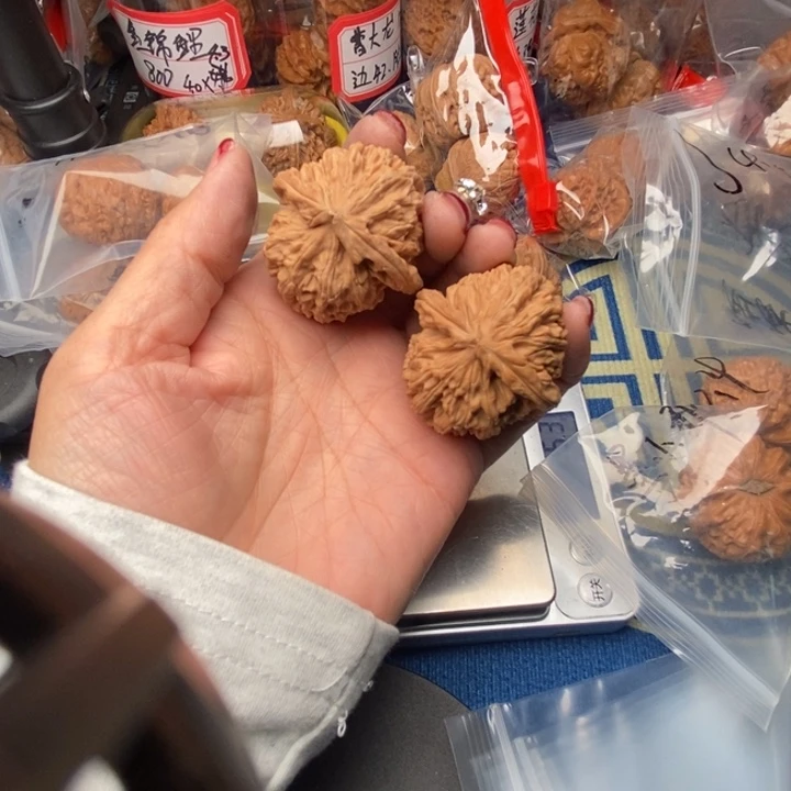 吊坠桃核白狮子41全品