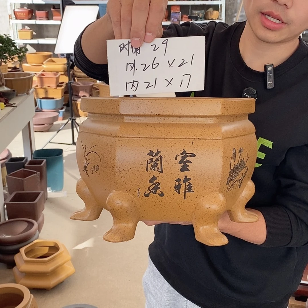 紫砂花盆紫砂花盆