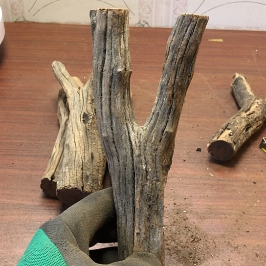 大果紫檀（缅甸花梨）.****路