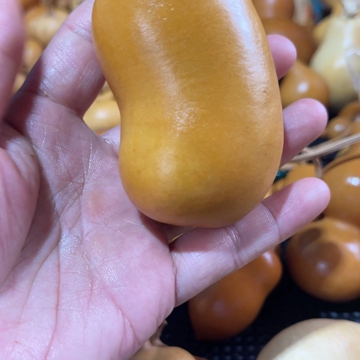 热****圆葫芦哈哈哈哈哈哈