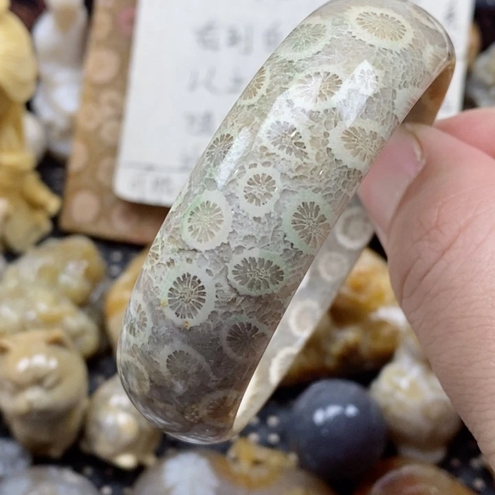 颈饰未镶嵌硅化珊瑚（珊瑚玉）