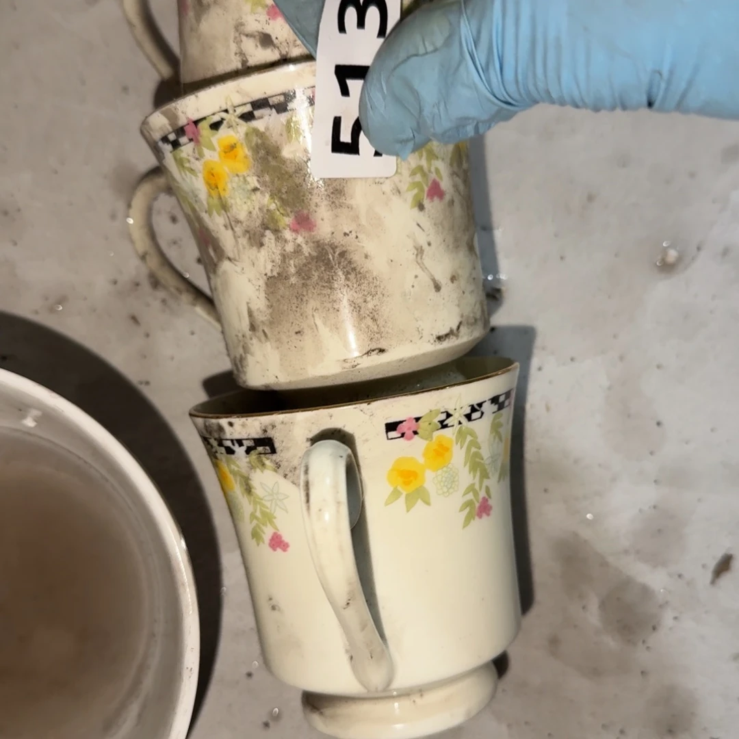 淡***烟茶盏在哪吃完晚饭没有嘛