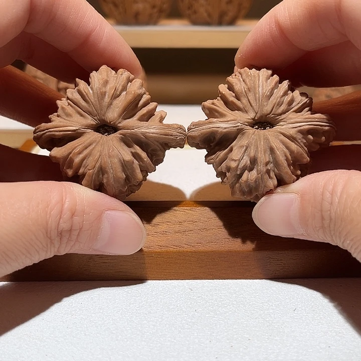 45菊花底四座楼，满肉……