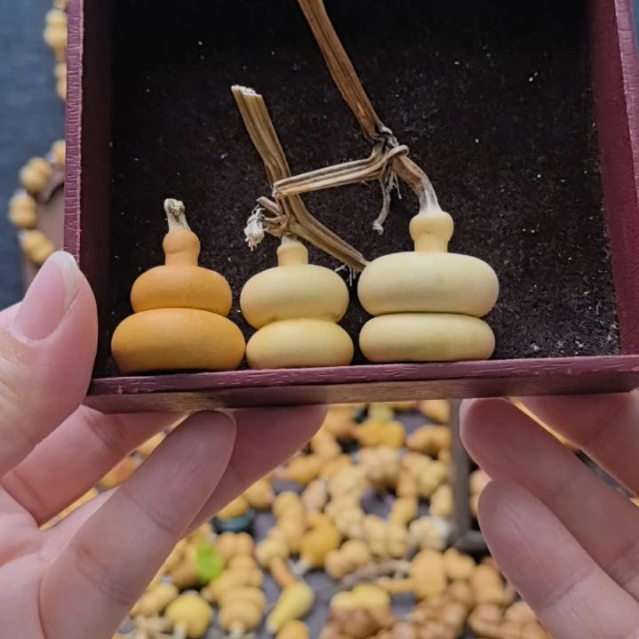 微瑕上下扁，放漏不退