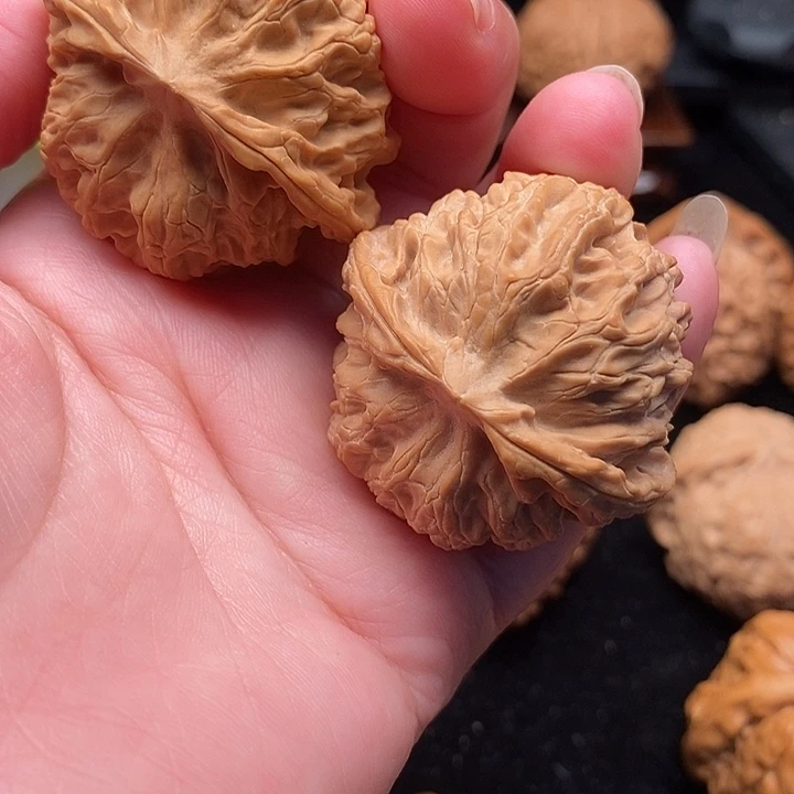 苹果园     尺寸41