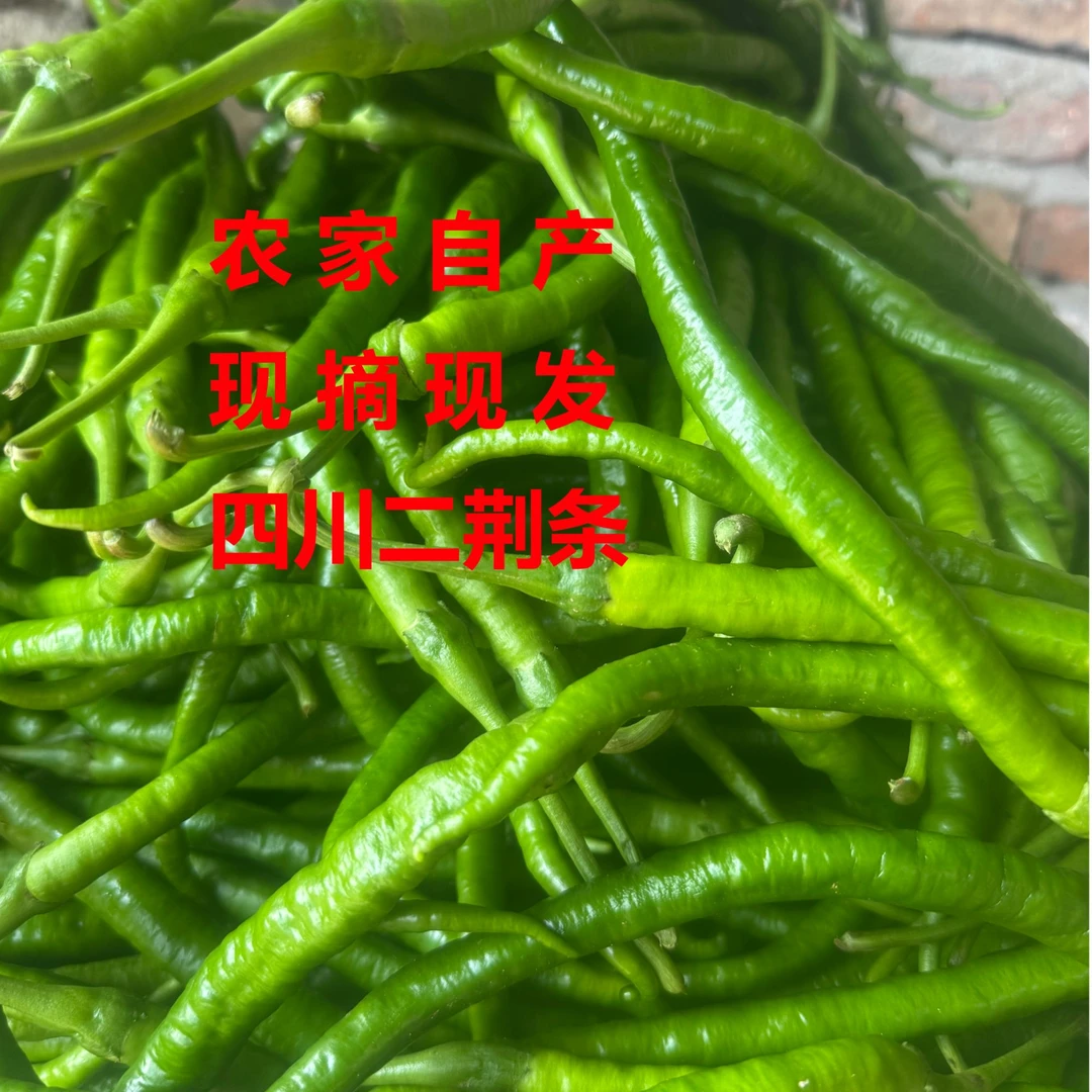 四川二荆条薄皮辣椒农家自种露天种植现摘现发保证新鲜