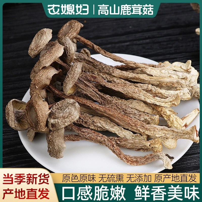 【净重无干燥剂】鹿茸菇干货特级鹿茸菌古田食用菌菇脆脆菇产地直发