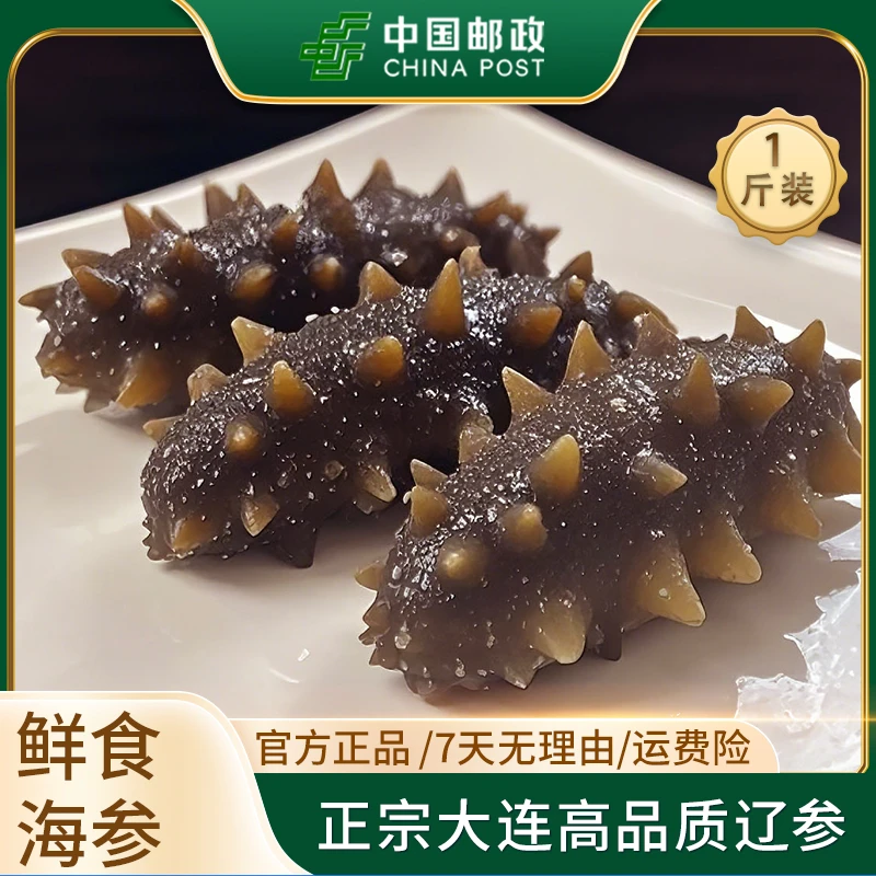 【中国邮政*央企严选】大连的甄选辽刺参鲜食海参1斤装开袋即食