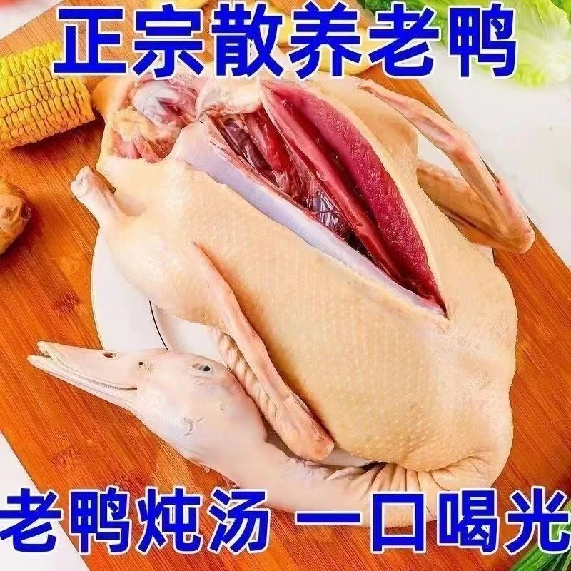 【三年老鸭】农村放养一只老鸭子 宰杀后 整只京东顺丰发货