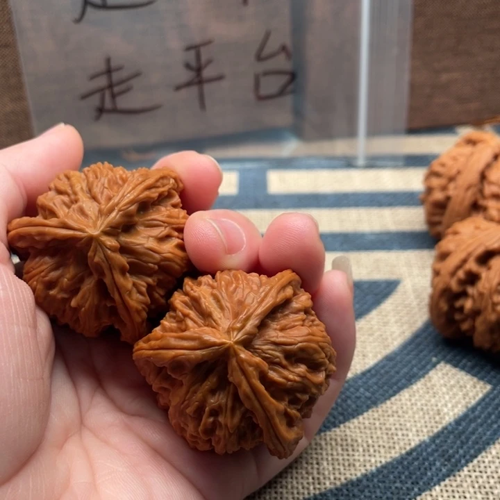 知***乐核桃白狮子40核桃