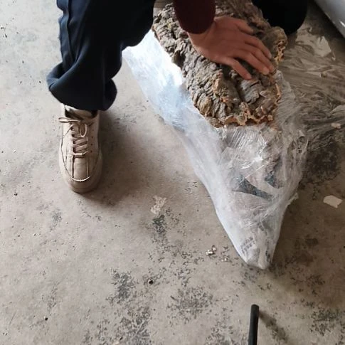 木一物一拍一物一发