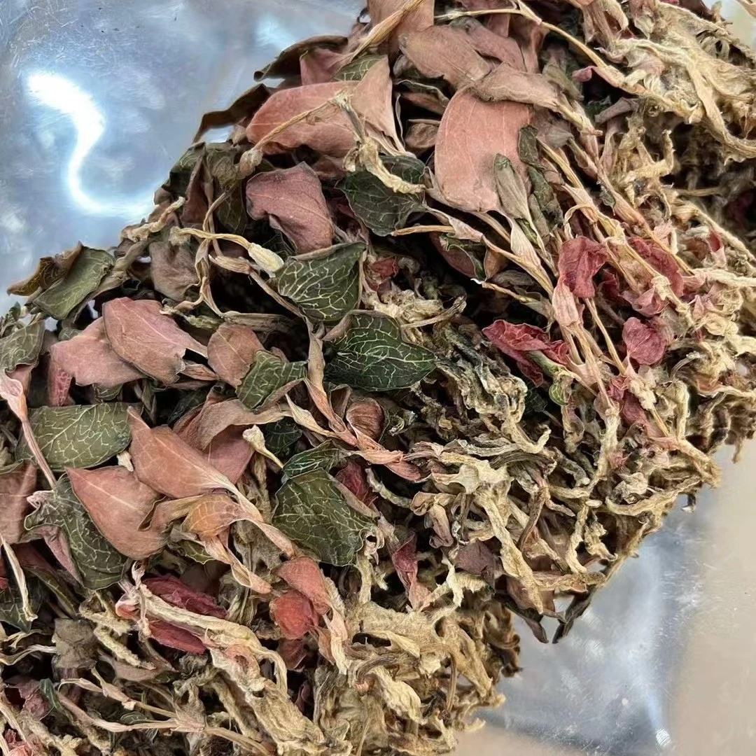 深山金线莲干品精选天然草本金线莲滇西珍选山货