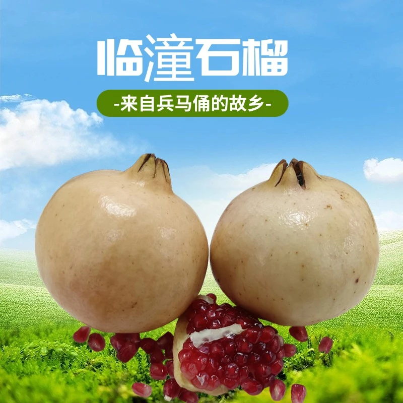 【3-9斤现货包邮】陕西临潼正宗净皮甜石榴新鲜多汁|酸甜味坏果包赔