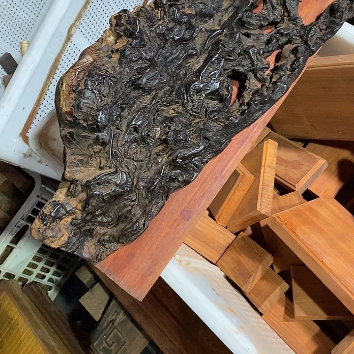 了***了枣木啊啊啊啊啊啊啊啊啊啊