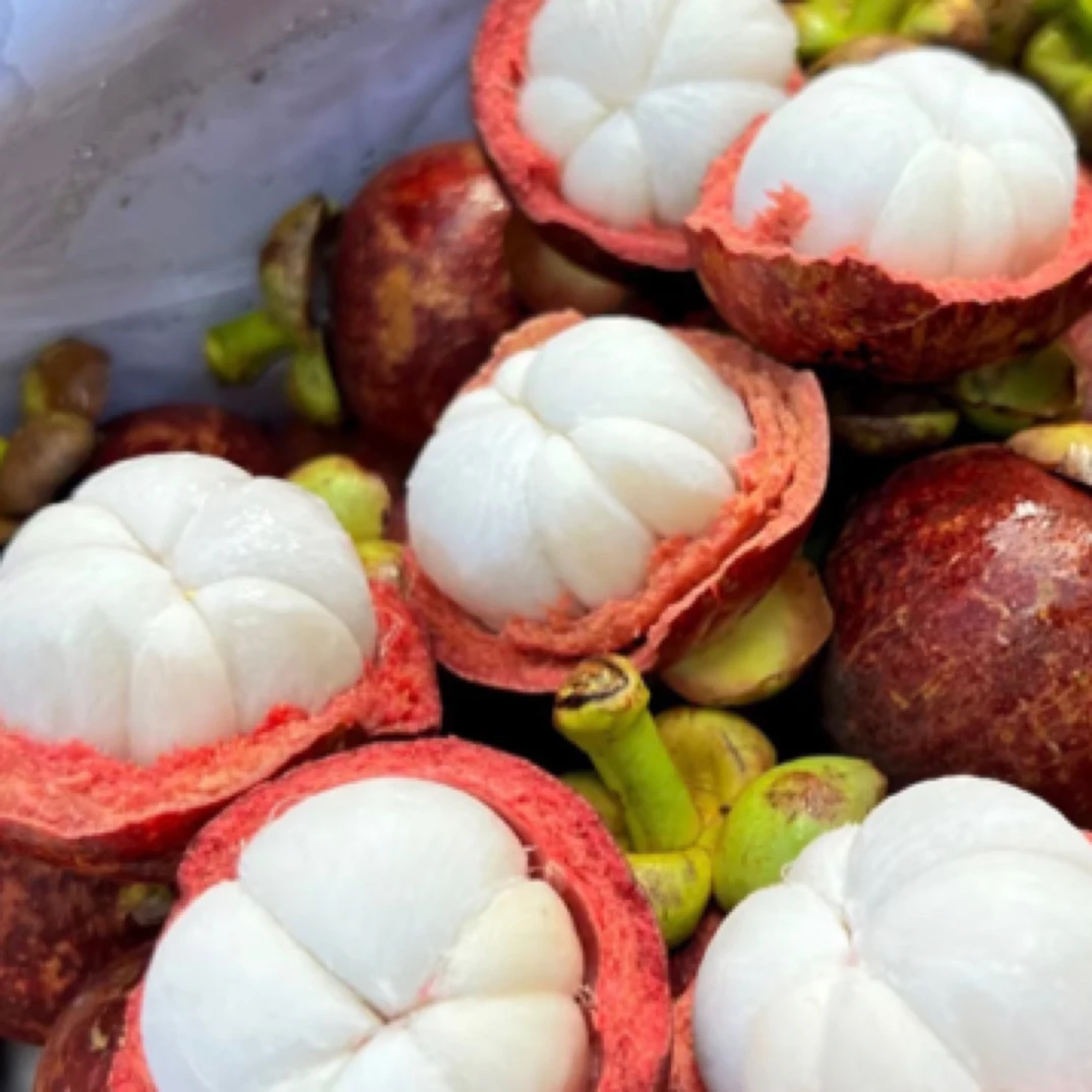 【品质优选】新鲜5A山竹（同城配送）