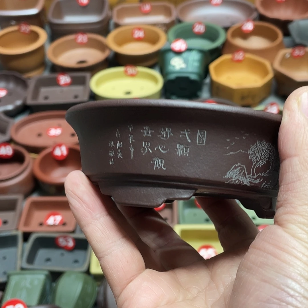 幸***刻紫砂小盆10*3cmmm