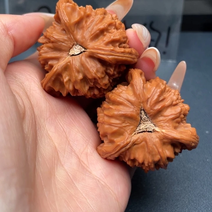 祥***喷吊坠文玩核桃白狮子