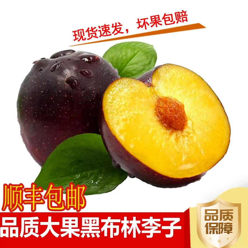 新鲜黑布林大李子孕妇应季水果酸甜李子黑布朗黑宝石甜李子整箱