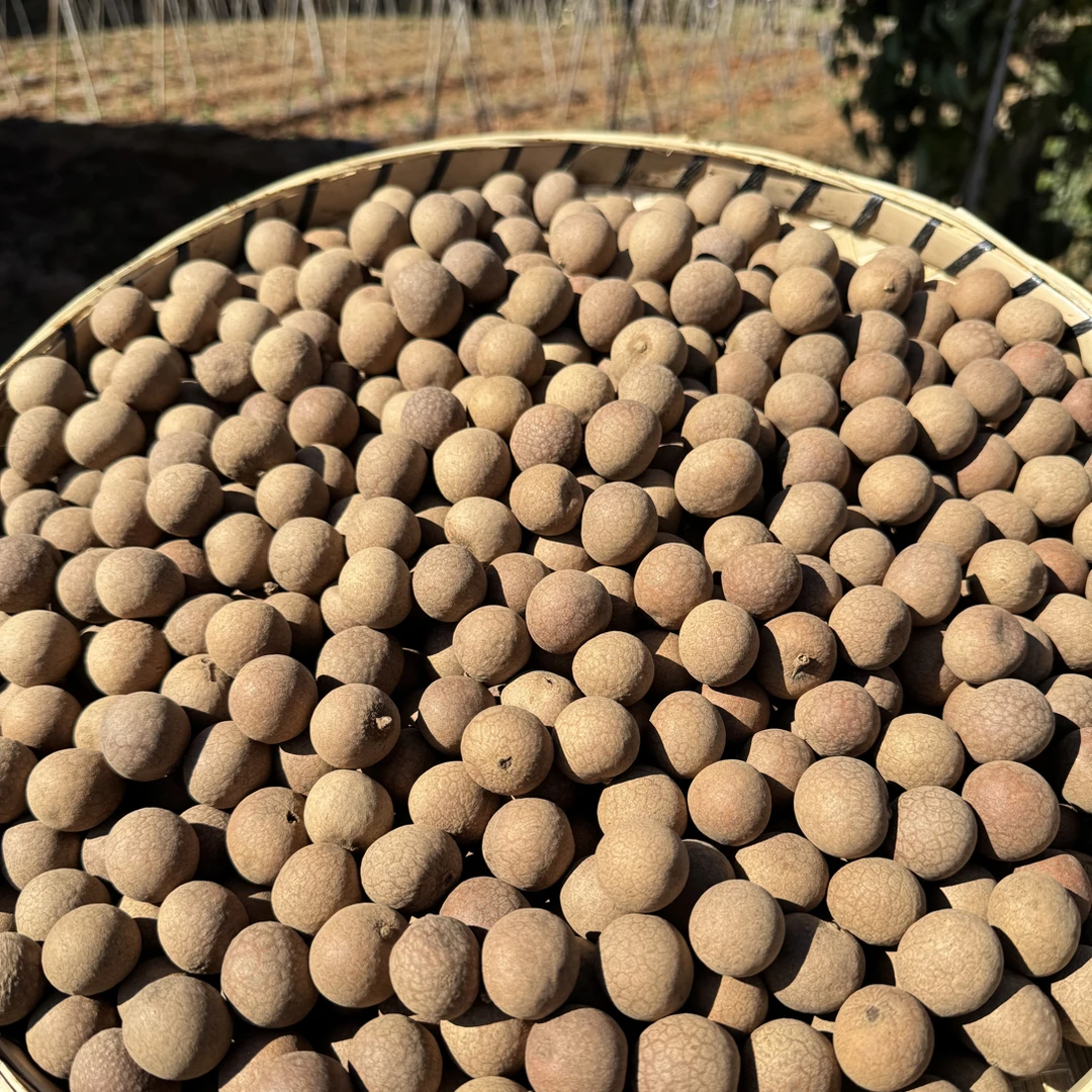 【小刚代收】桂圆干