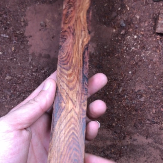 手串/手链黄花梨/降香黄檀竞拍品，不退不换