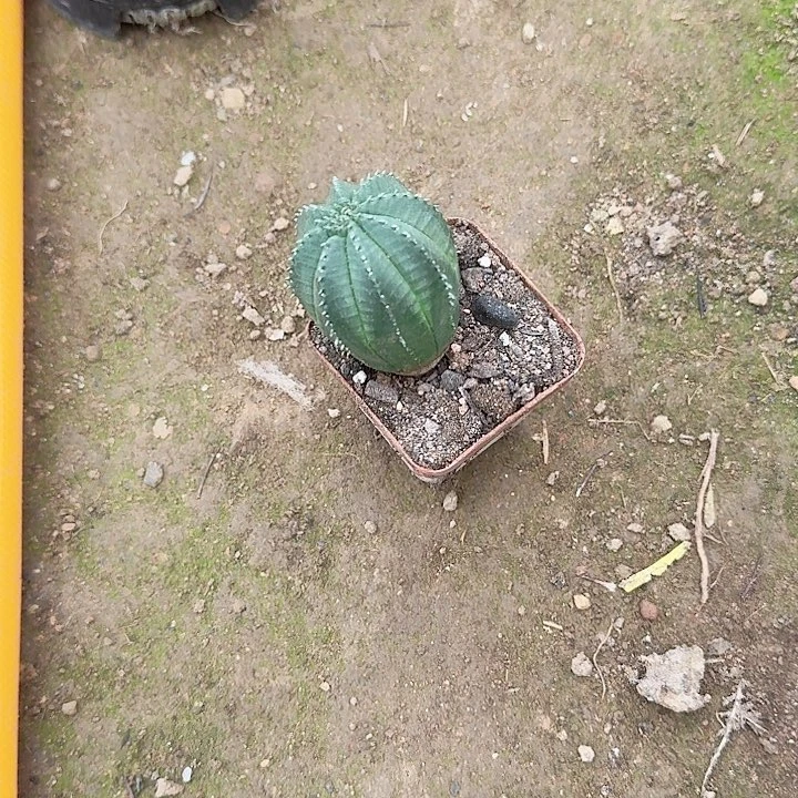 *****哈哈哈哈哈哈哈哈哈哈哈