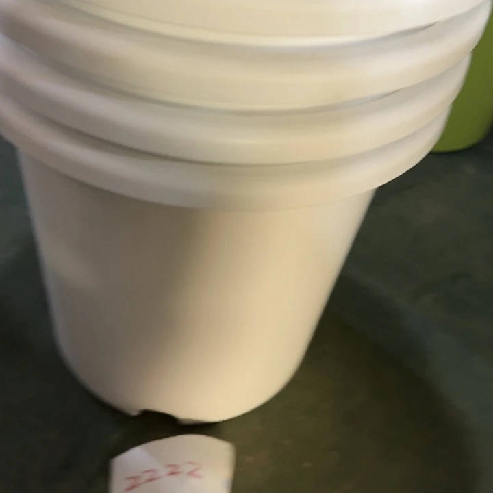 编号2222纯白无托5个口39