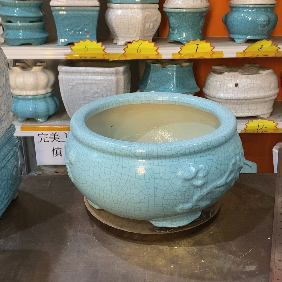 利*花盆里的小猫咪