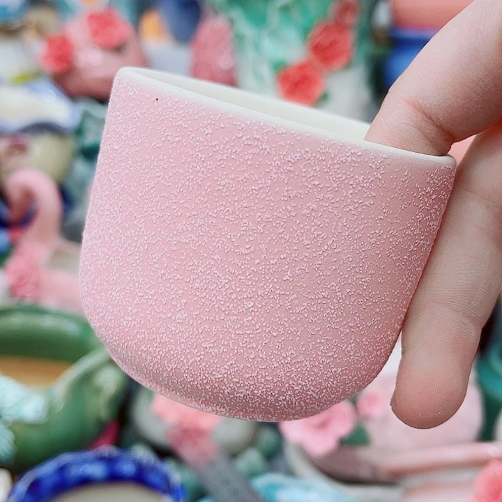 多肉植物陶瓷花盆