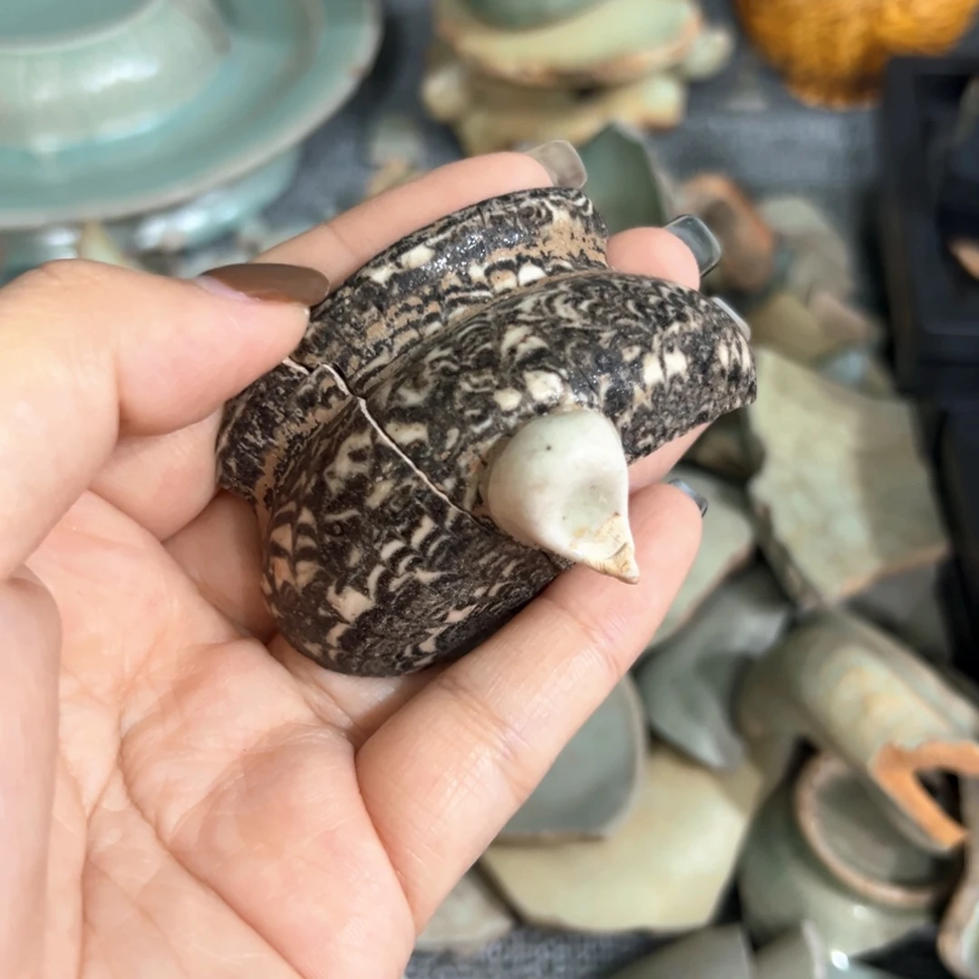 瓷片瓷瓷瓷瓷瓷瓷瓷瓷瓷