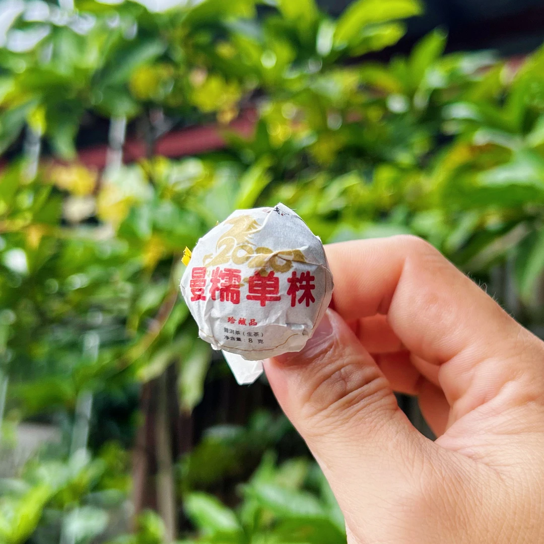 2026年 曼糯二波单株龙珠10颗装普洱茶生茶