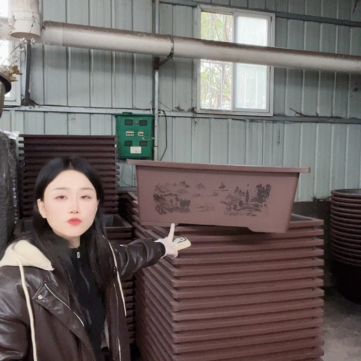 盆景80花盆6个有孔