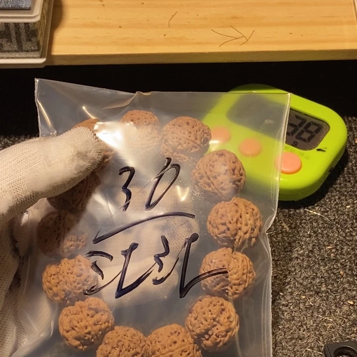 江***江金刚菩提吊坠要想有足够强大和勇气让