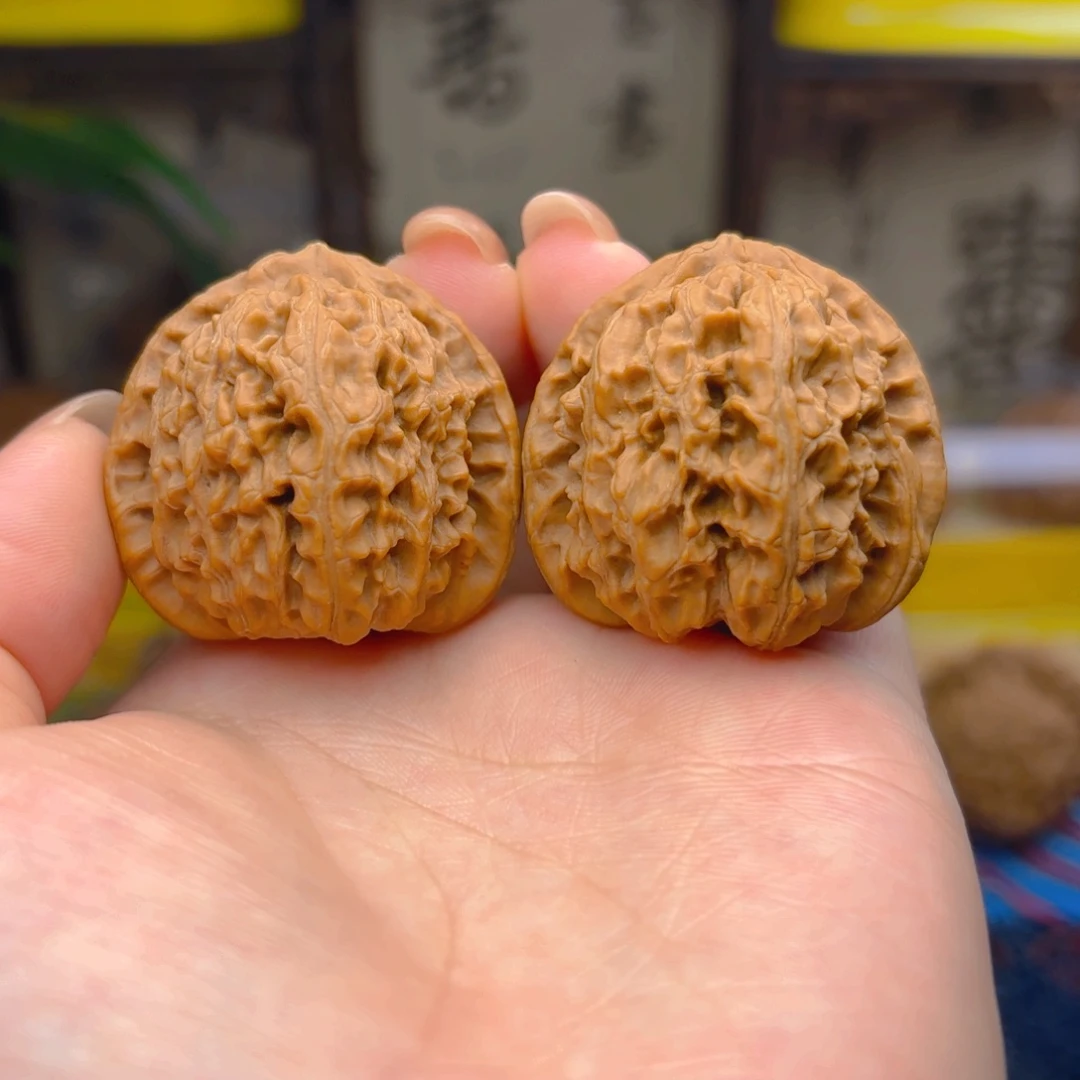 白狮子头三十七尺