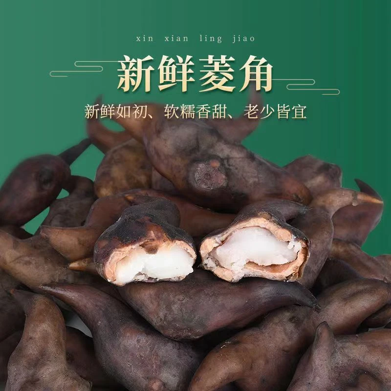 洪湖新鲜现摘老菱角粉糯带壳可生吃湖北特产