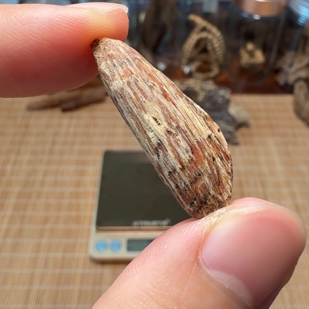 沉香海南黄油格瓜子