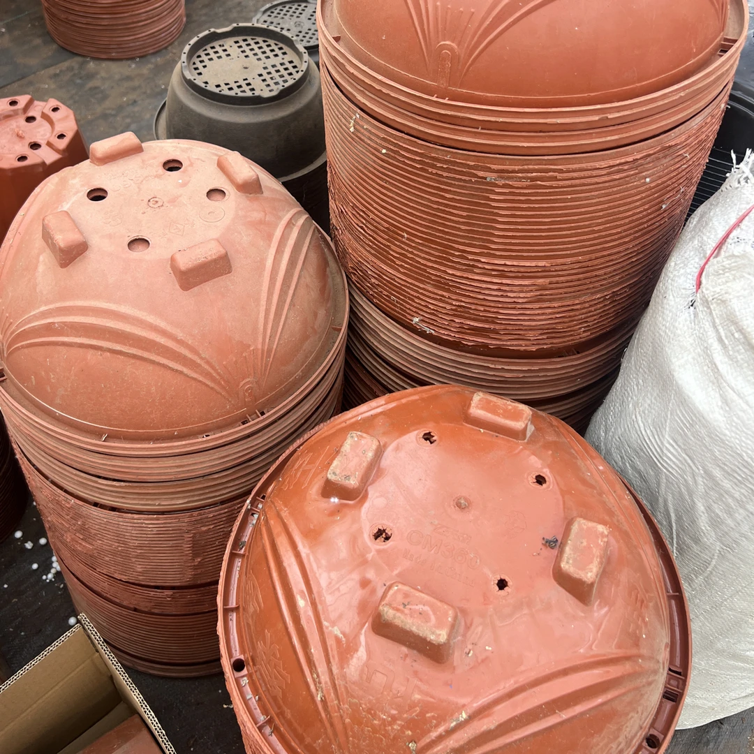 双11塑料新花盆，新红吊兰盆34口径15高 5个