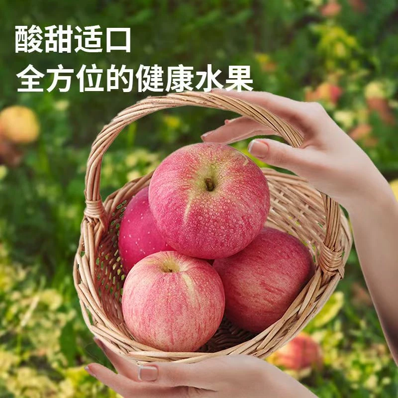 【小刘同学】大连东马屯红王将苹果脆甜可口当季应季水果