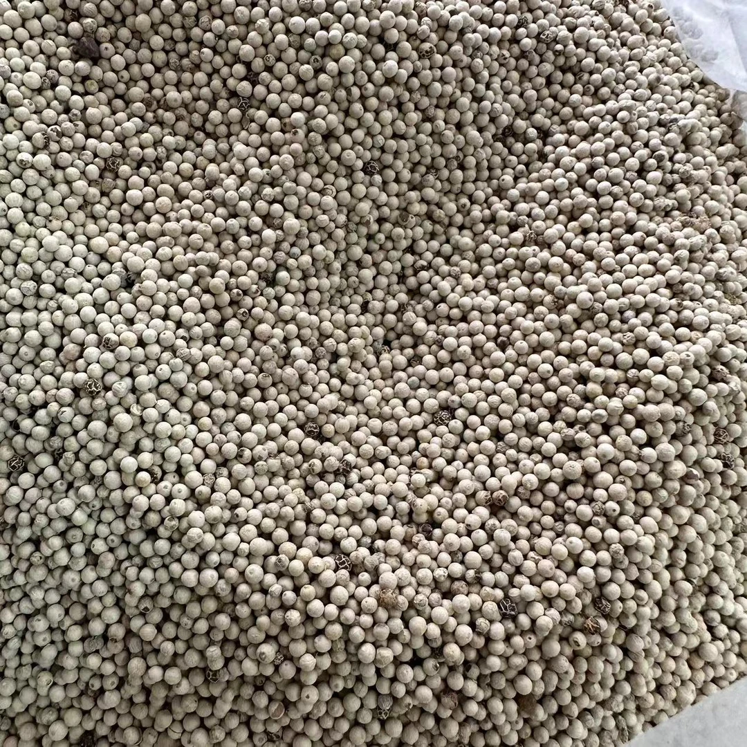 海南胡椒 豆500g
