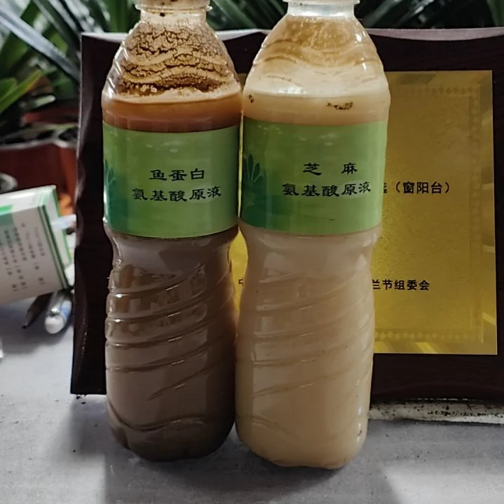 自制基础鱼蛋白芝麻氨基酸菌液