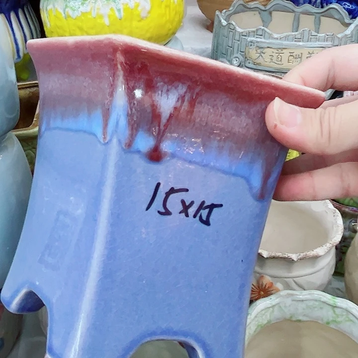 多肉植物陶瓷花盆