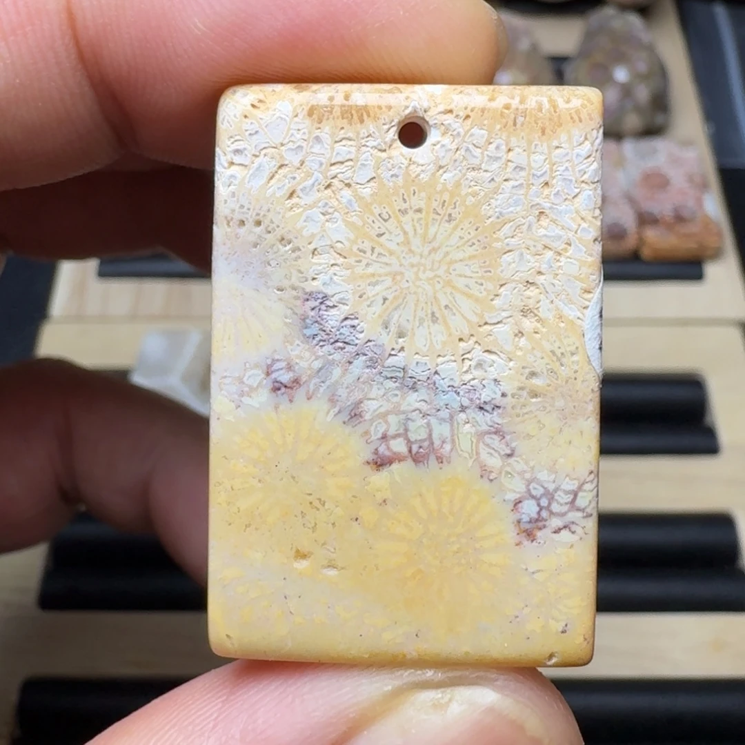 硅化珊瑚（珊瑚玉）未镶嵌纯天然色有机玉石保真色
