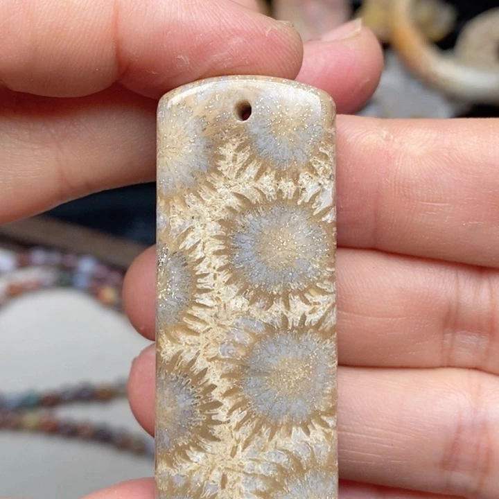 硅化珊瑚（珊瑚玉）颈饰未镶嵌